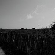 2013-07-08 13-26-54 1